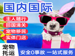 扎兰屯成吉思汗机场快运国际宠物托运 【国